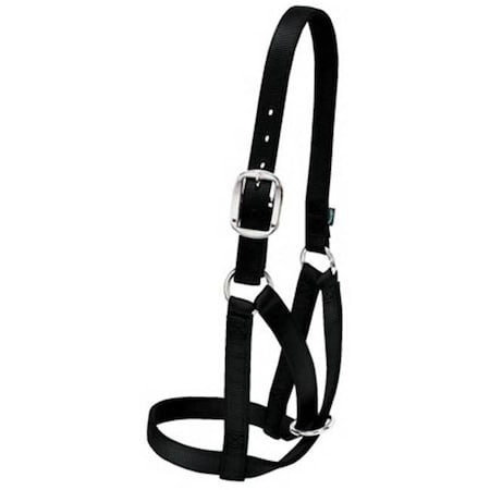Daretocare 35-8003-BK 1 in. Cow Barn Halter - Small; Black DA602575